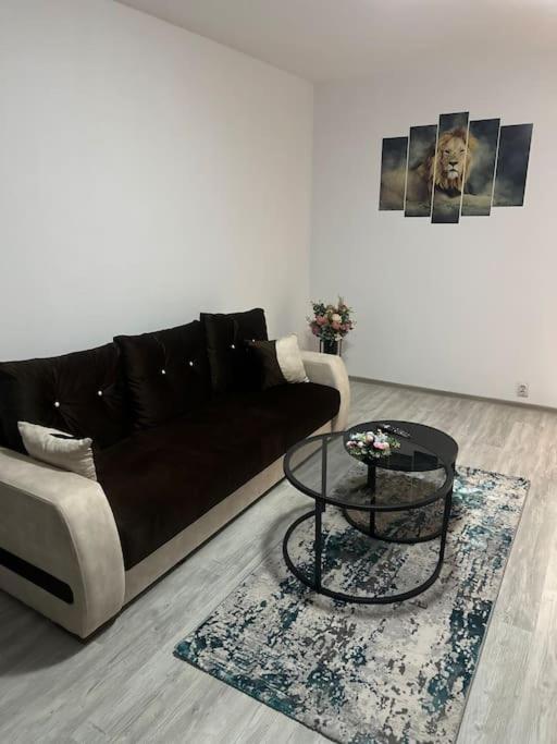 Apartament La Flo Hunedoara Luaran gambar