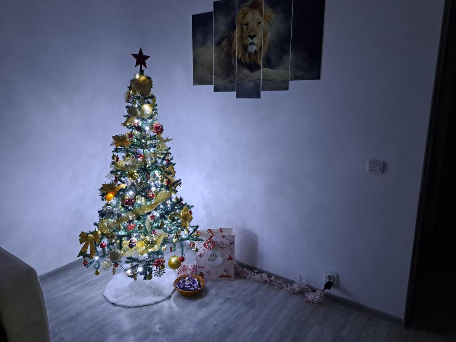 Apartament La Flo Hunedoara Luaran gambar